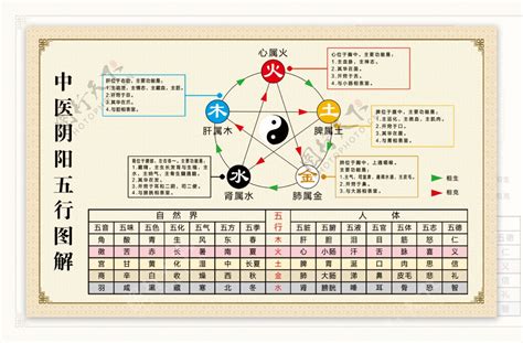 五行 器官對應